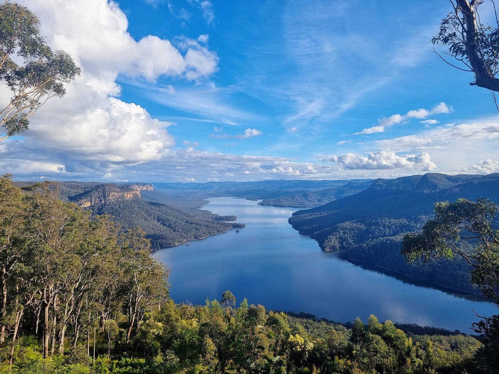 Lake Burragorang winding between forested ridges, seen from Burragorang Lookout