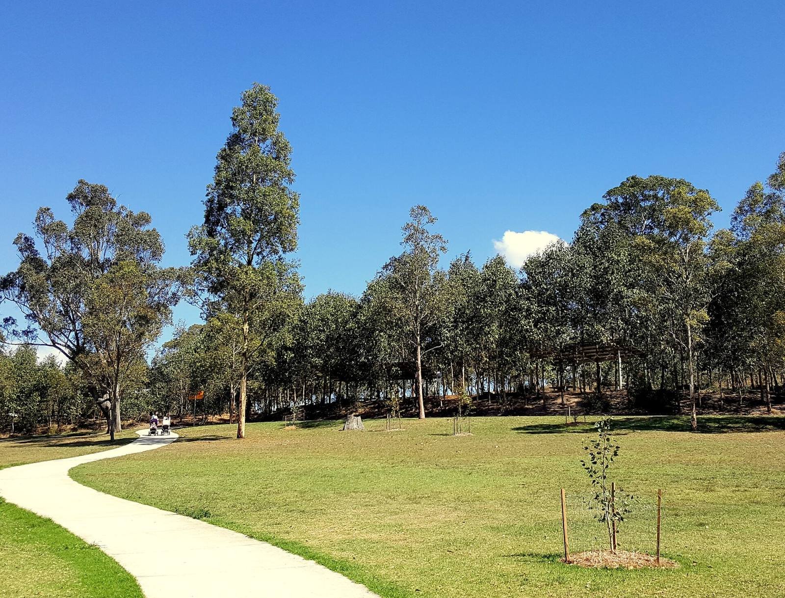 A curving path through grassland and eucalyptus trees in the Western Sydney Parklands