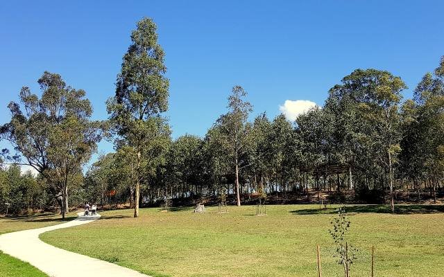 A curving path through grassland and eucalyptus trees in the Western Sydney Parklands