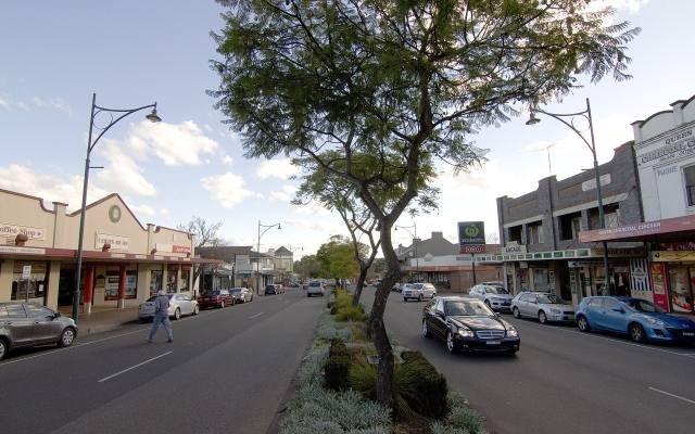 Argyle Street in Camden with shopfronts, street trees and parked cars