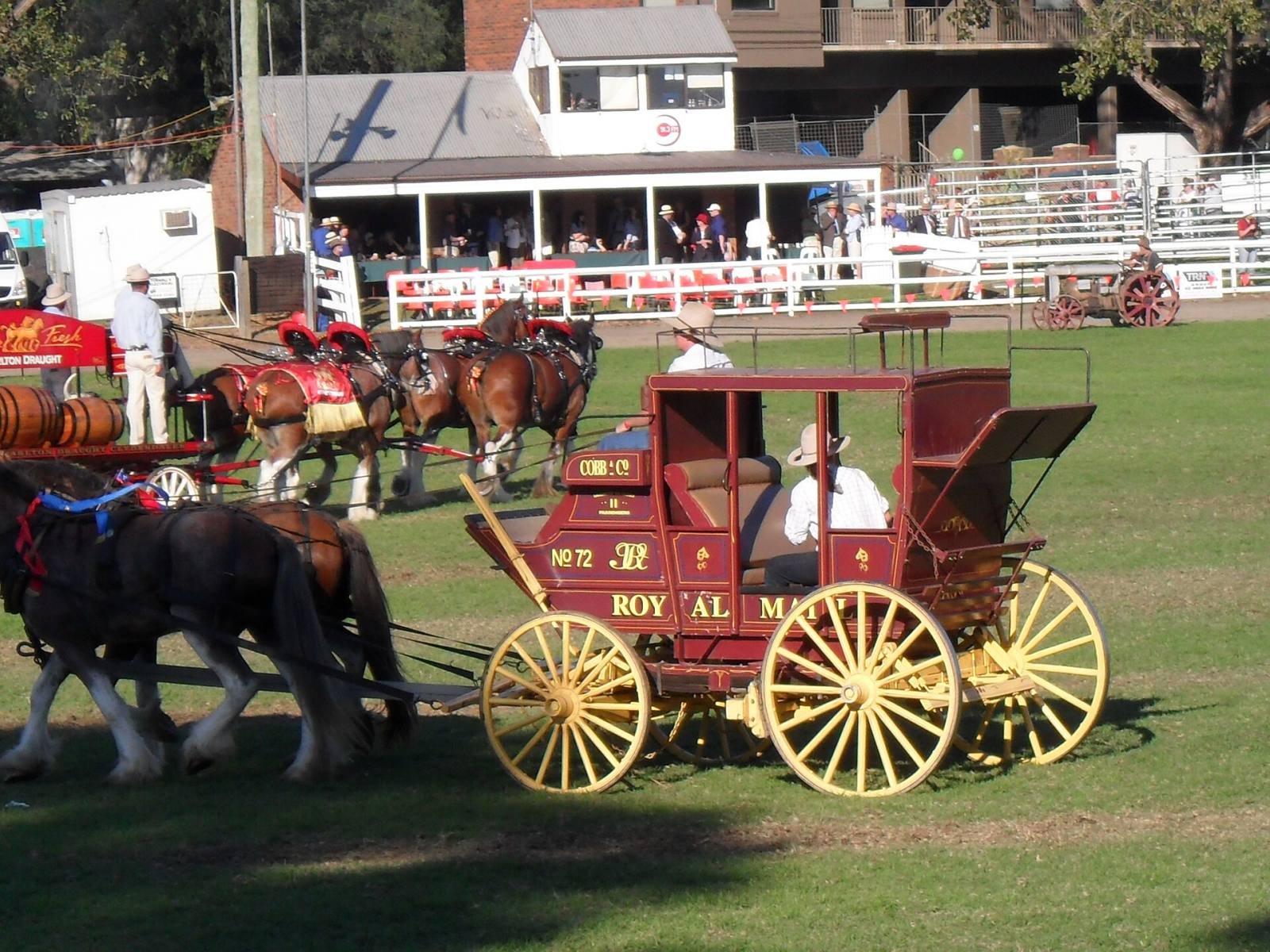 A team of horses pulling a red and yellow coach around the main arena at the Camden Show