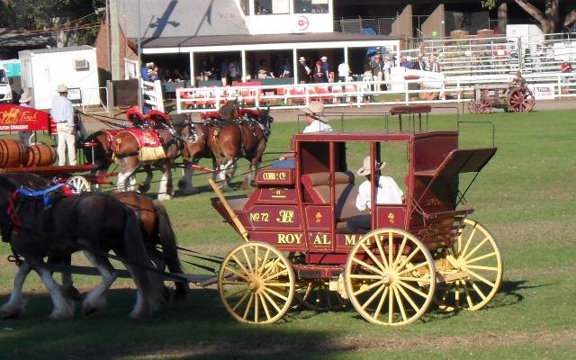 A team of horses pulling a red and yellow coach around the main arena at the Camden Show
