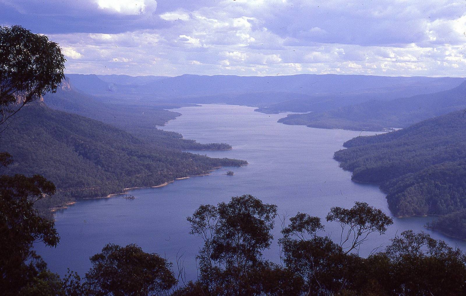 Lake Burragorang in afternoon light between forested ridges, seen from Burragorang Lookout
