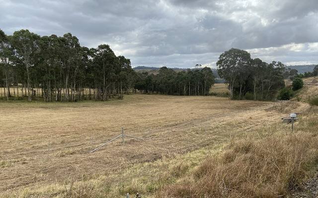 Open paddocks and gum trees in the countryside near Picton