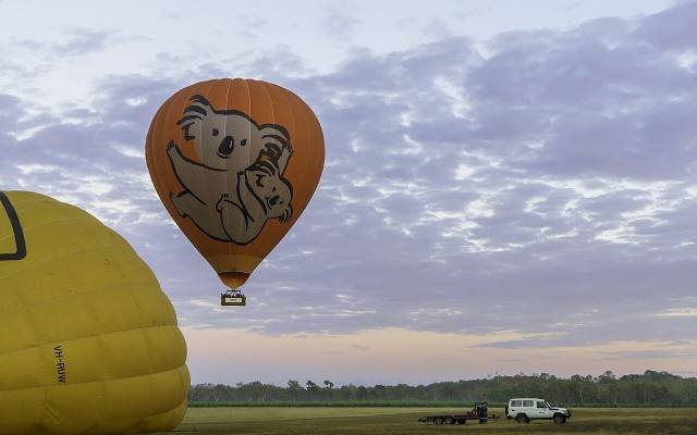 A hot-air balloon decorated with a koala rising over a grassy launch field at dawn