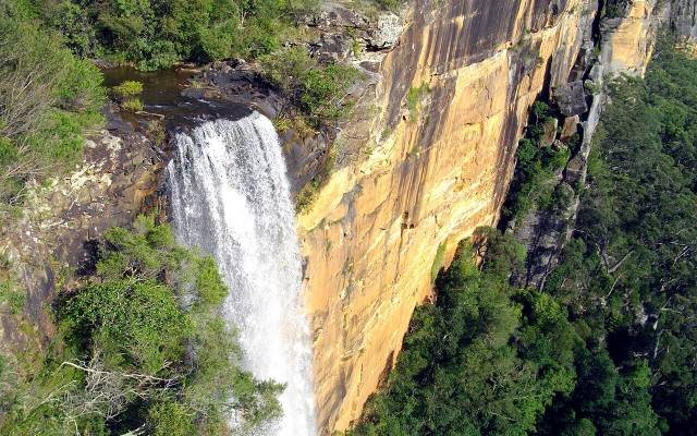 Fitzroy Falls dropping over a sandstone cliff into a forested valley