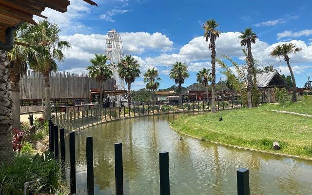 Palm trees, a lagoon and timber boardwalks at Sydney Zoo under a blue sky